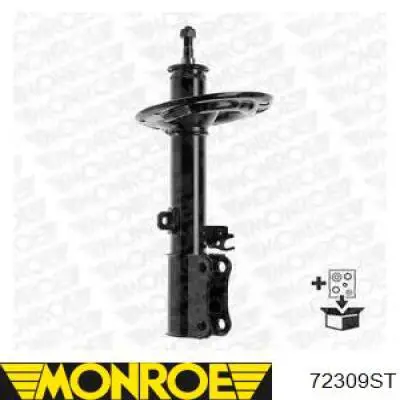RS317193 Raiso Amortiguador trasero derecho