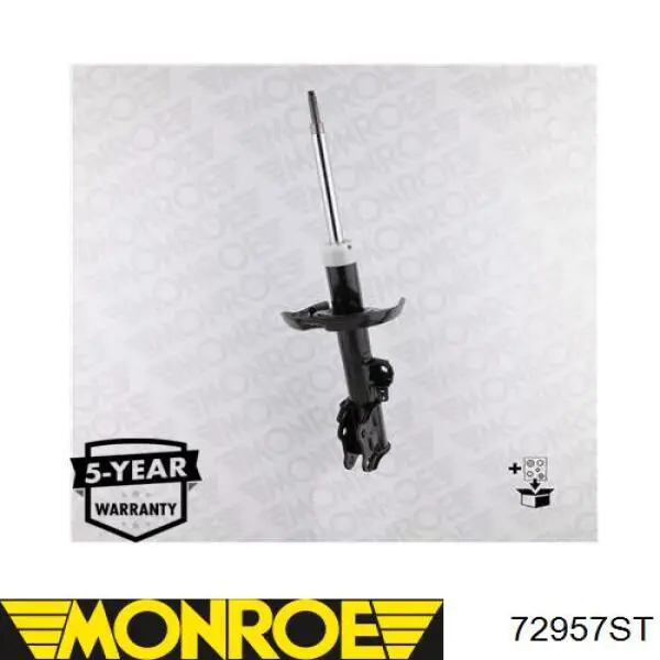 Amortiguador trasero Raiso RS316881 precio, desde 47,54 EUR