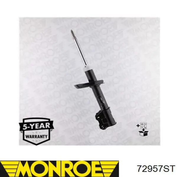 Amortiguador trasero RS316881 Raiso