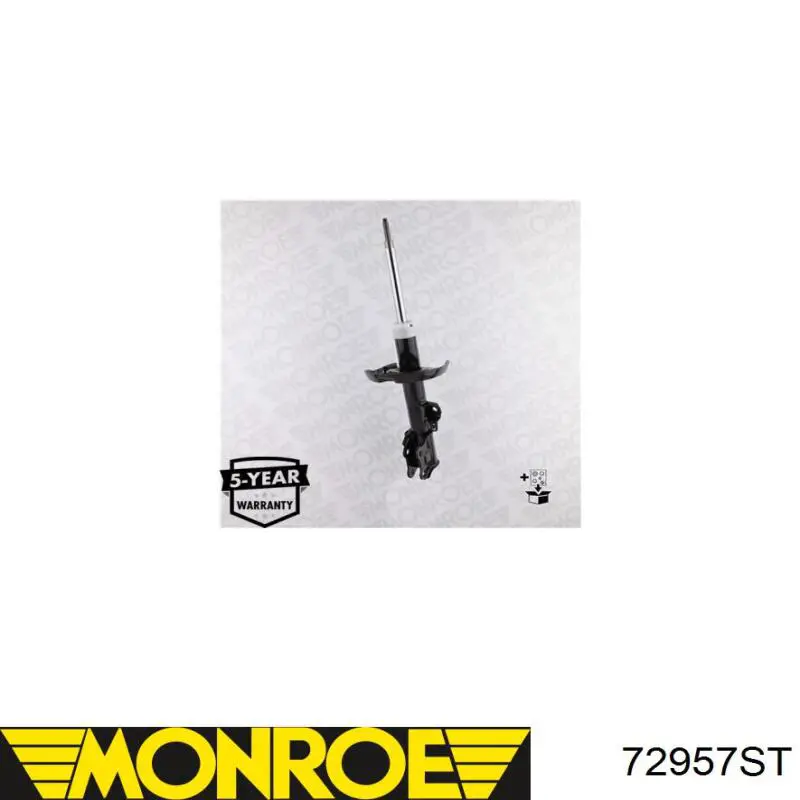 Comprar RS316881 Raiso Amortiguador trasero