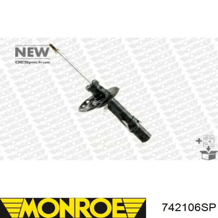 Amortiguador delantero derecho RS313749 Raiso