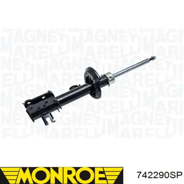 RS261014 Raiso Amortiguador eje delantero derecha