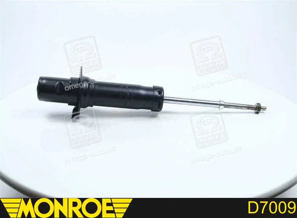 Amortiguador RS317613 Raiso