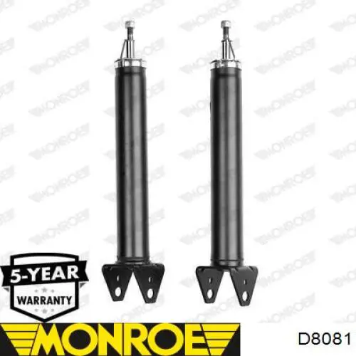 Amortiguador trasero Raiso RS315235 precio, desde 75,18 EUR