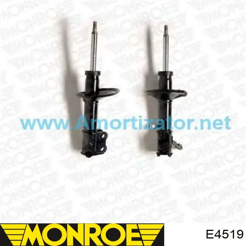 Amortiguador strut delantero Citroen Evasion (22)