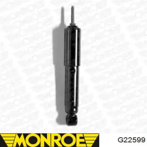 Amortiguadores Raiso RS170579 precio, desde 25,56 EUR