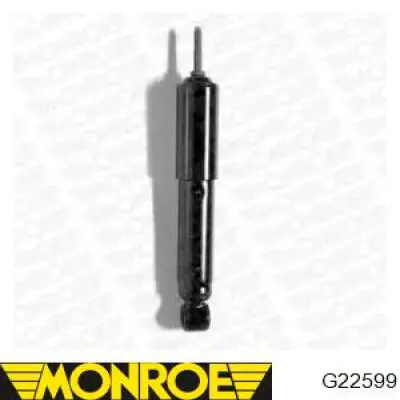 Amortiguador HA30101 Hort