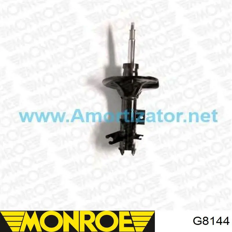 Amortiguador delantero izquierdo RS312896 Raiso