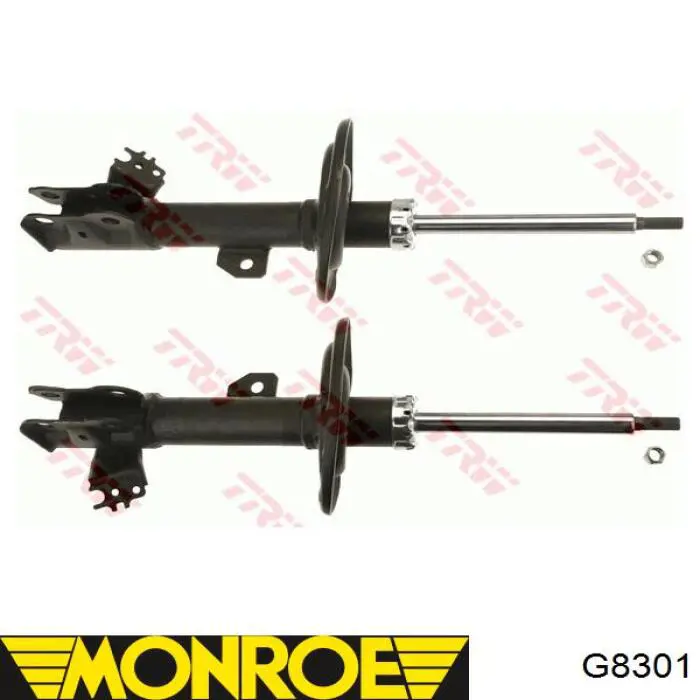 Amortiguador delantero derecho Raiso RS339351 precio, desde 82,51 EUR