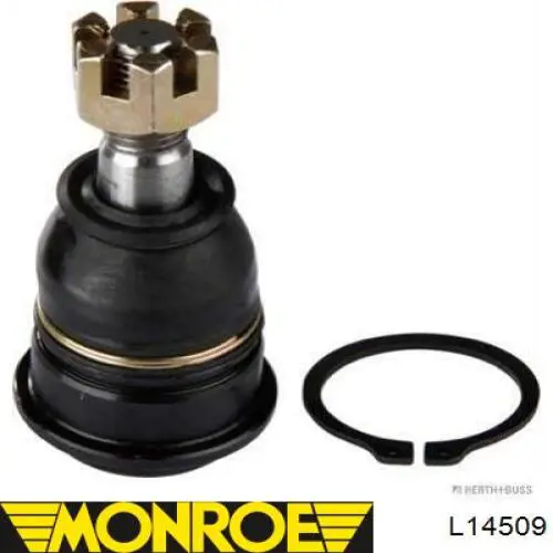 L14509 Monroe rótula de suspensión inferior