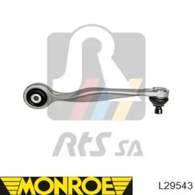 Brazo superior derecho de la suspensión delantera Raiso RL8E0510A precio, desde 20,90 EUR
