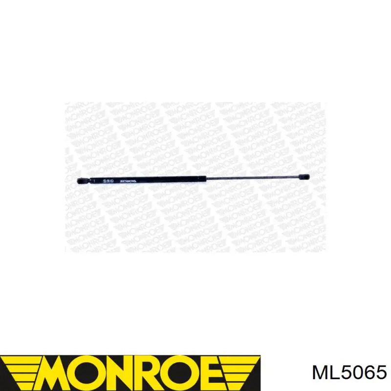 ML5065 Monroe amortiguador maletero