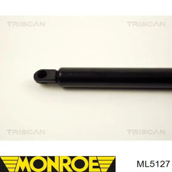 Muelle neumatico maletero Ford 1094814