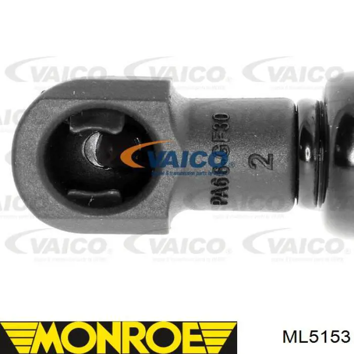 Amortiguador de vidrio de portón trasero (puerta trasera 3/5) Renault (RVI) 7700430022