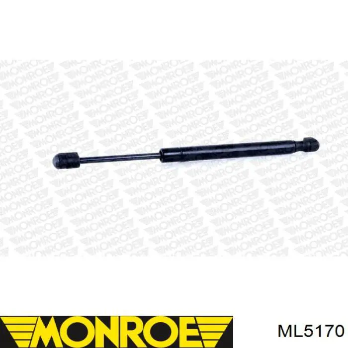 ML5170 Monroe amortiguador maletero