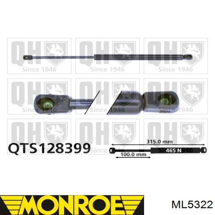 Comprar 844302F000 Nissan/Infiniti Amortiguador de puerta trasera