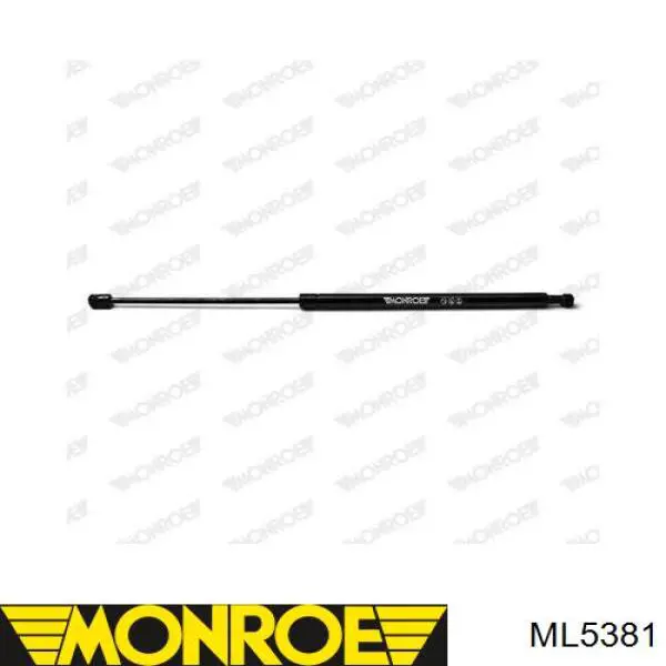 Comprar ZSH0008 Japan Parts Amortiguador de puerta trasera