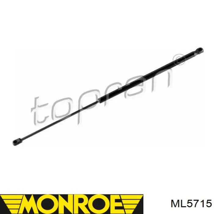430719078100 Magneti Marelli Amortiguador de capó derecho