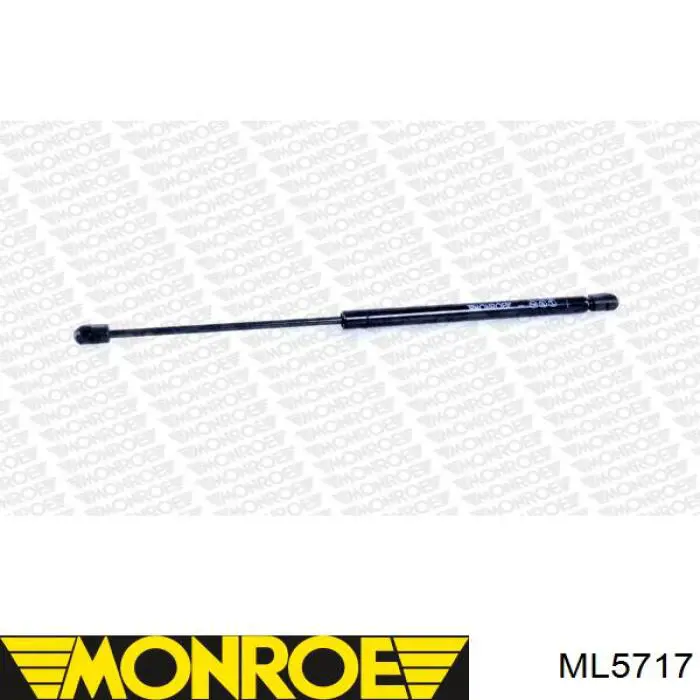 Comprar 1697400045 Mercedes Amortiguador de puerta trasera