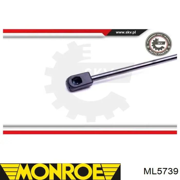 Muelle neumático, tapa delantera Doga 2027713 precio, desde 17,50 EUR