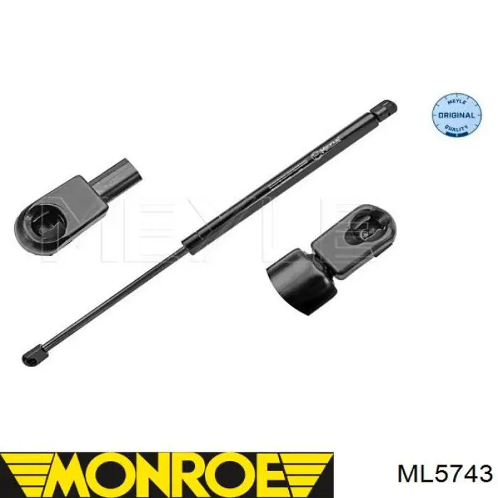 Comprar ML5743 Monroe Amortiguador de puerta trasera