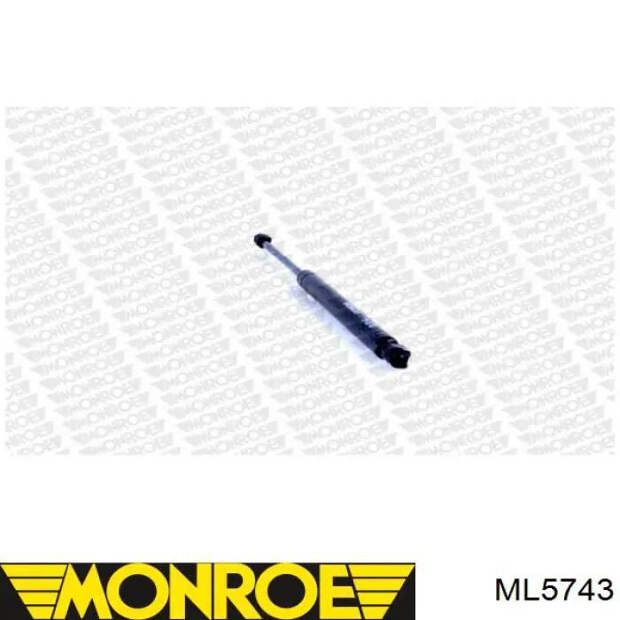 ML5743 Monroe amortiguador maletero