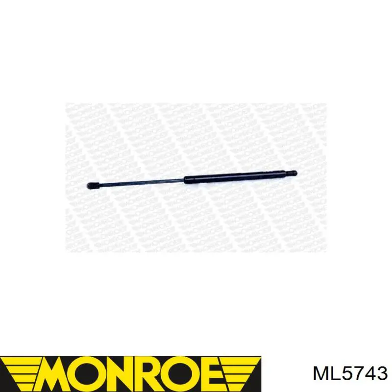 Amortiguador maletero ML5743 Monroe