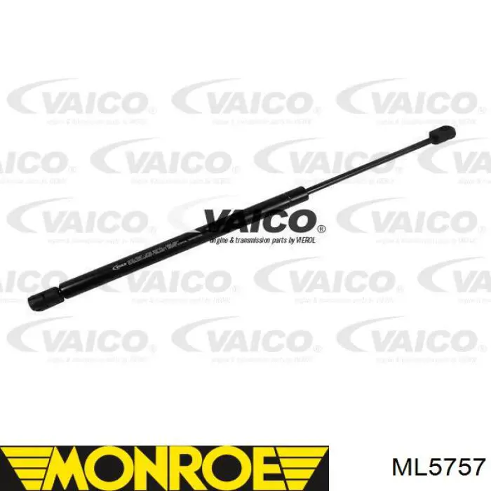 Amortiguador maletero GS0823 Magneti Marelli