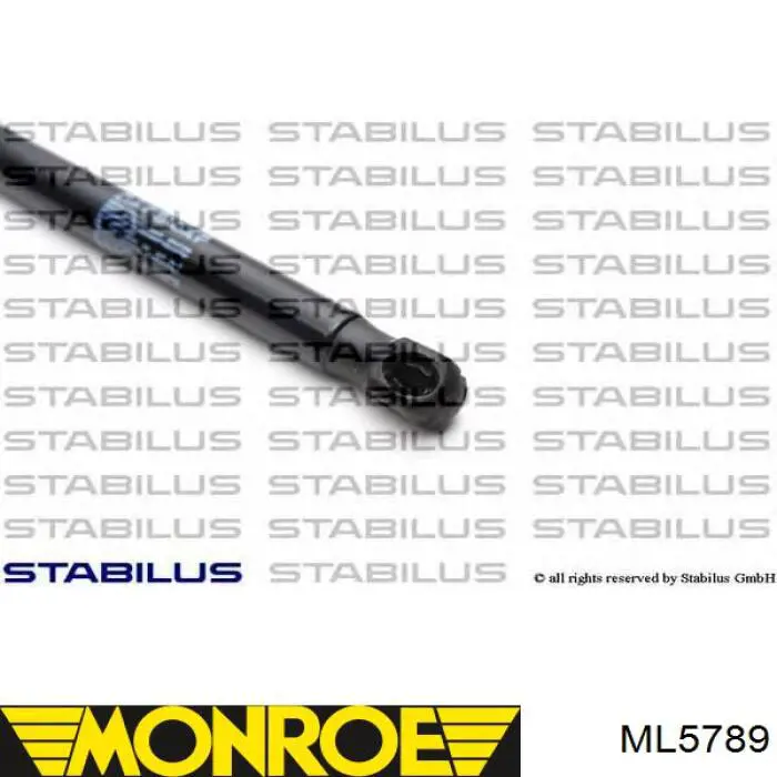 Muelle neumatico maletero Monroe ML5789