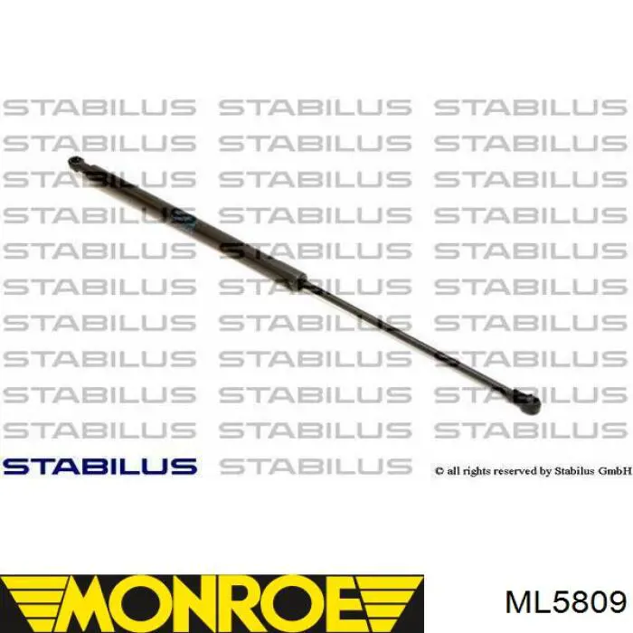 Amortiguador de maletero Monroe ML5809 precio, desde 23,23 EUR