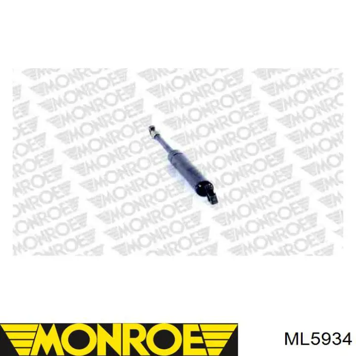 Muelle neumatico maletero BMW 51241908431