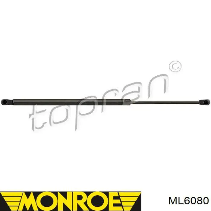 Amortiguador de maletero Swag 30931659 precio, desde 19,66 EUR