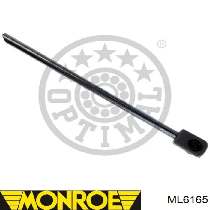 Comprar AM51R406A10AD Ford Amortiguador de puerta trasera