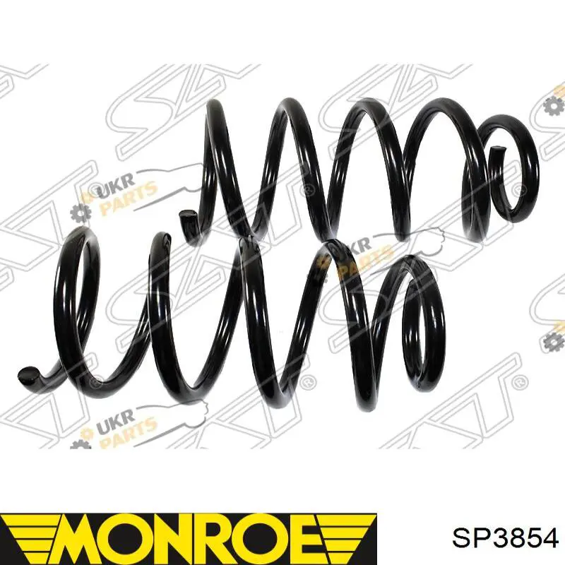Muelle SR101TP Raiso