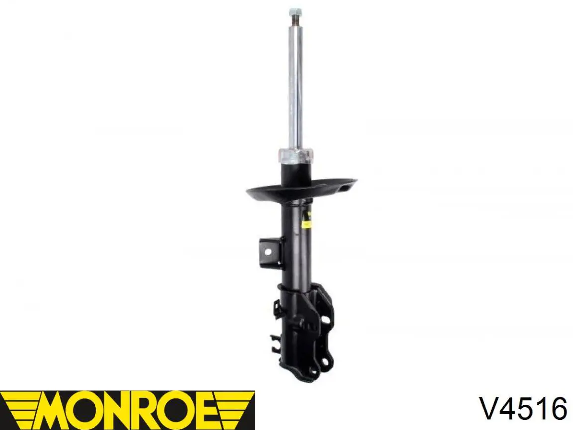 Amortiguador RS314885 Raiso