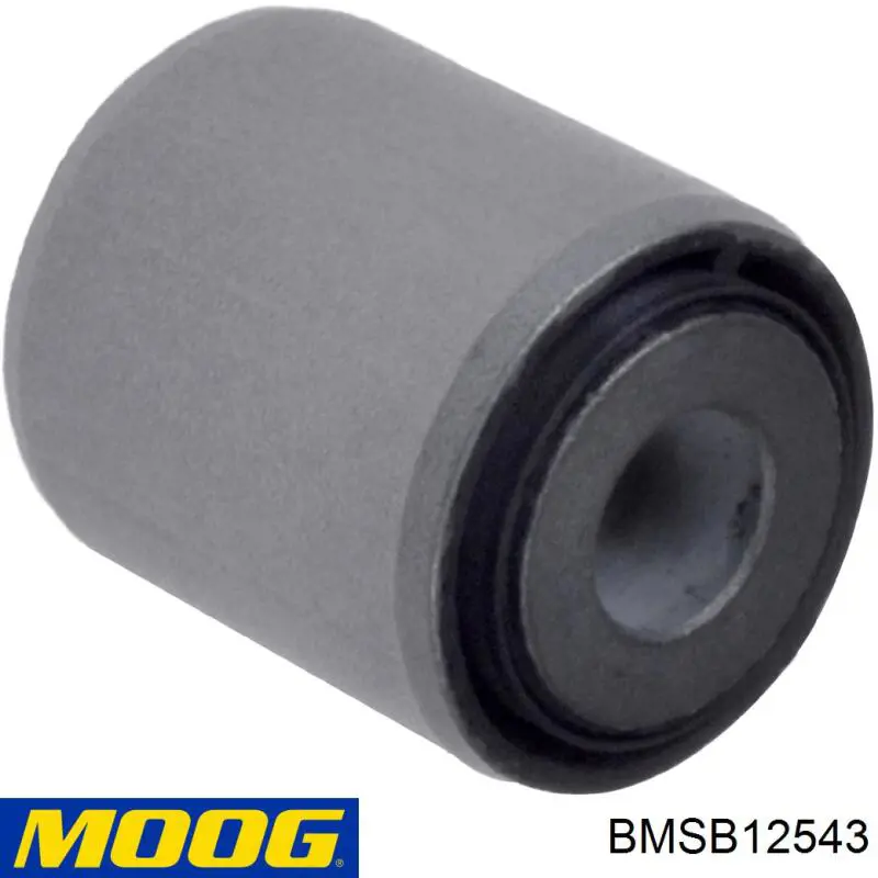 BMSB12543 Moog suspensión, barra transversal trasera