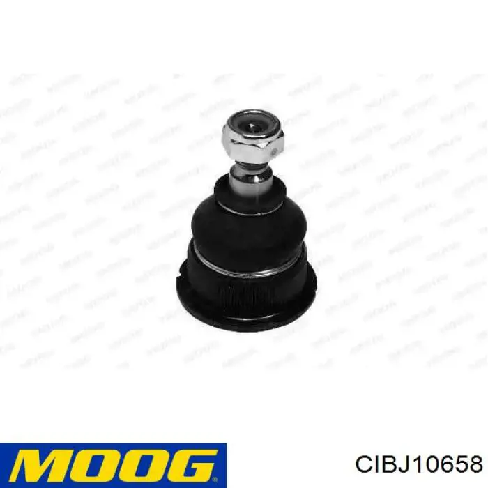 Comprar CIBJ10658 Moog Rótula inferior de suspensión