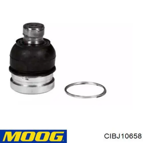 Rótula inferior de suspensión CIBJ10658 Moog