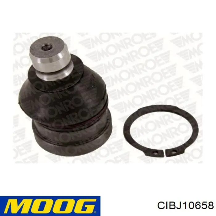 Rótula inferior de suspensión Moog CIBJ10658 precio, desde 38,98 EUR
