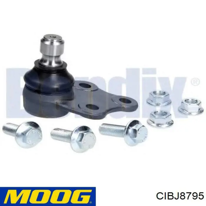 Rótula inferior de suspensión CIBJ8795 Moog