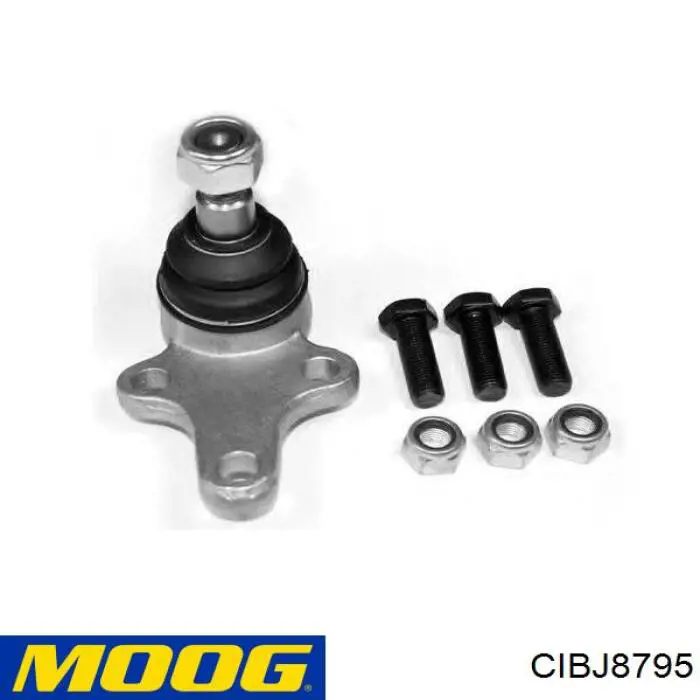 Rótula inferior de suspensión Moog CIBJ8795