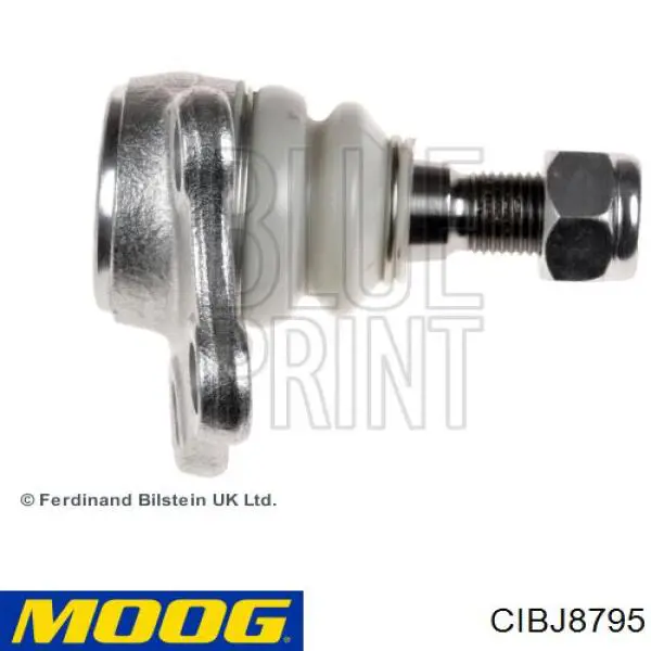 CIBJ8795 Moog Rótula inferior de suspensión