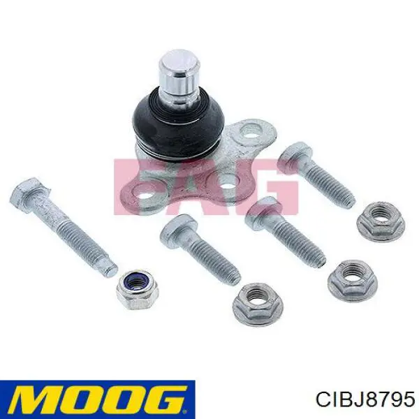 Rótula inferior de suspensión Moog CIBJ8795 precio, desde 16,81 EUR