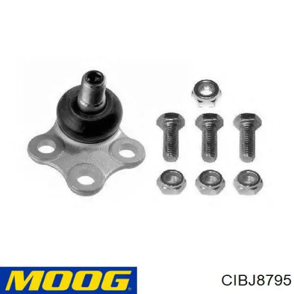 Comprar CIBJ8795 Moog Rótula inferior de suspensión