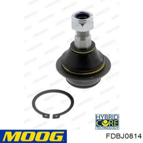 Rótula inferior de suspensión Moog FDBJ0814 precio, desde 31,24 EUR