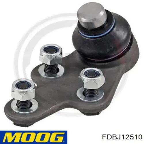 Cojinete de bola inferior derecho Moog FDBJ12510