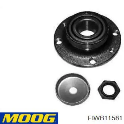 Cubo de rueda trasero FIWB11581 Moog