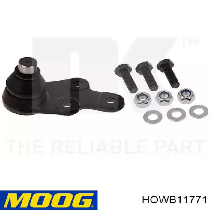 Cojinete de rueda HOWB11771 Moog