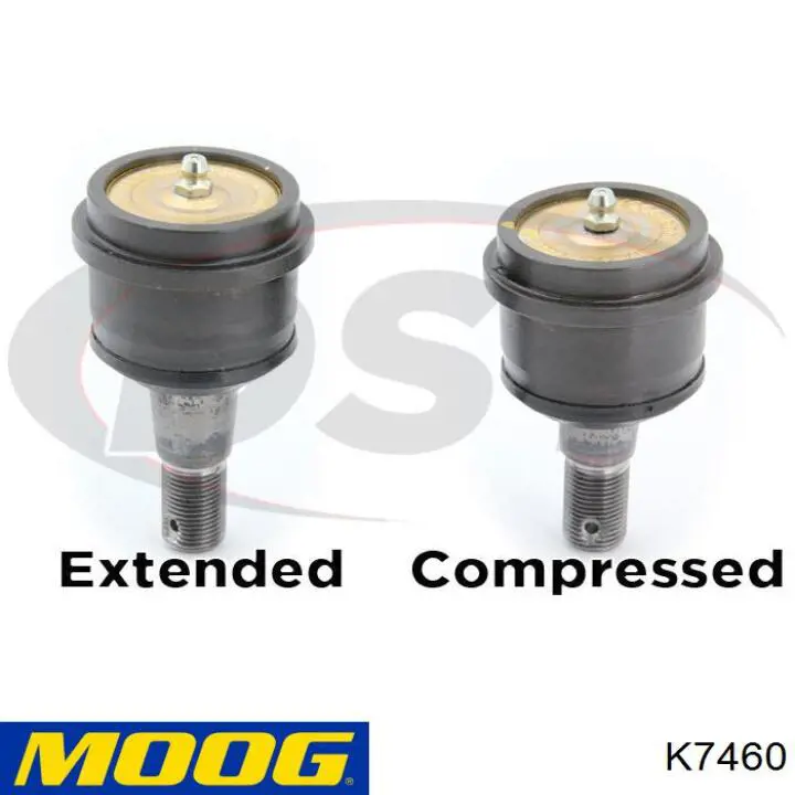 Rótula de suspensión superior Moog K7460 precio, desde 33,61 EUR