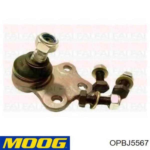 Rótula inferior de suspensión Moog OPBJ5567 precio, desde 23,00 EUR